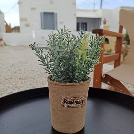 Apartment Rosemary